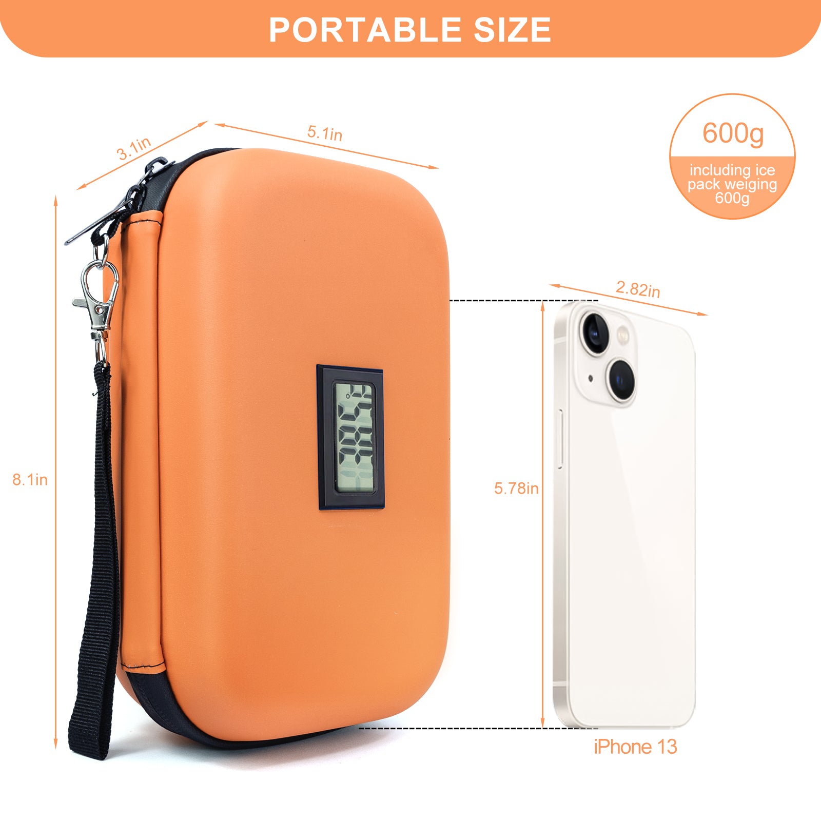 Gosemai TSA Approved Insulin Cooler Travel Case Medication Cooler for Travel with Temperature Display Diabetic Medication Organizer Medical Travel Cooler Bag with 2 Ice Pack